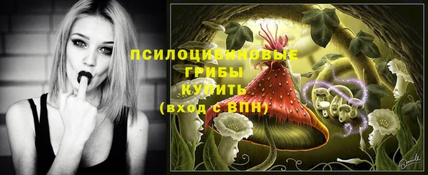 МДПВ Михайловка