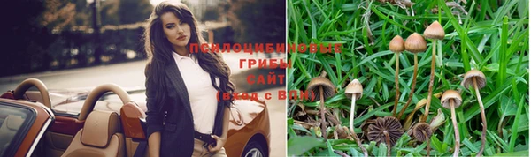 МДПВ Михайловка